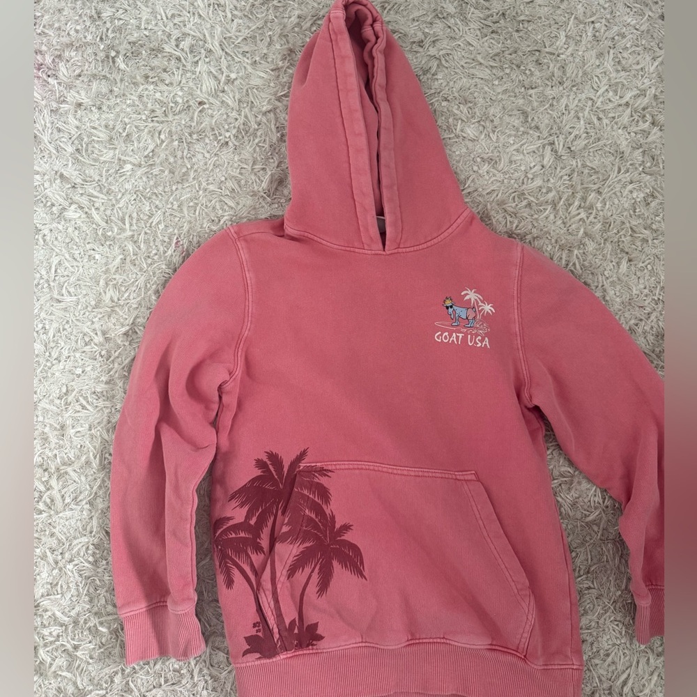GOAT USA Kids Hoodie